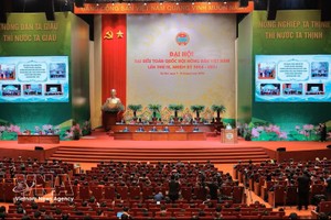 越南农民协会第九次全国代表大会隆重开幕。图：越通社