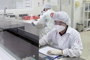 在胡志明市高科技园区，一名技术人员正在日本日写集团（Nissha）旗下的FDI企业——USM Healthcare医疗设备工厂股份公司工作。图：黄雄
