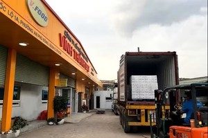 永成达食品股份公司向日本市场出口首柜即食蛋制品。图：thanhnien.vn