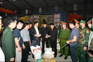 “135VL”专案缴获的50.7吨咖啡因。图：vtv.vn