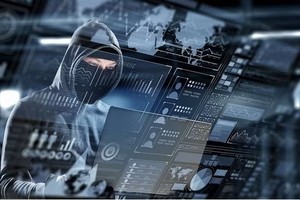 附图。图：政府网站
