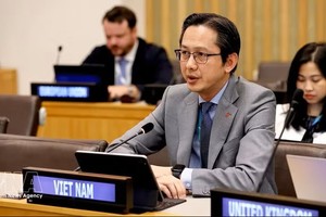 越南常驻联合国代表团团长杜雄越大使出席联合国妇女署执行局年会。图：越通社