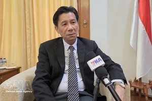 越南驻印度尼西亚大使谢文聪就新阶段双边合作前景与方向接受了越通社驻雅加达记者的专访。图：越通社