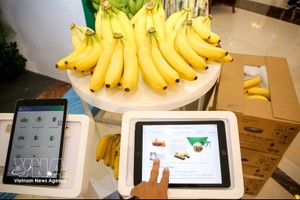 越南农产品溯源更便捷、更透明。图：越通社