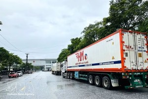 满载货物的集装箱车队在清水国际口岸区域等待办理通关手续。图：越通社