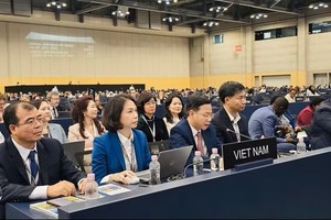 越南外交部副部长吴黎文出席第48届联合国教科文组织世界遗产委员会会议。图：越通社