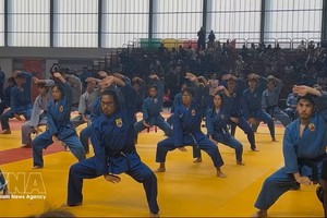 越武道表演节目。图：越通社