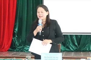 胡志明市农业与环境厅副厅长范氏娜在会上作汇报。图：成辉