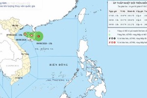 8月7日下午1时热带低压位置。图表：国家气象水文预报中心