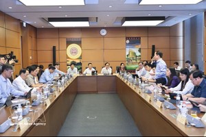 谅山、奠边和永隆等省国会代表团在小组讨论中发言。图：越通社