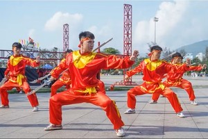 对武学的热爱精神被“武之乡”平定人民代代相传与发扬。图：Vietnam+