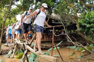外国游客在越南西部水乡体验“猴桥”，感受独具特色的乡村旅游。图：越通社
