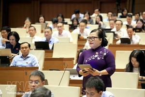 国会代表发表意见。越通社