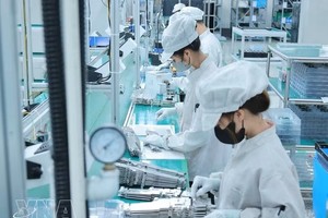 附图。图：越通社