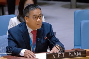 越南常驻联合国代表团副团长阮海刘公使在会上发表讲话。图：越通社