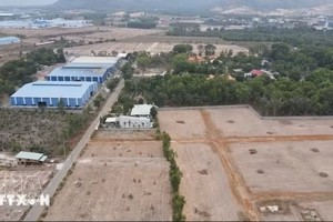 附图。图：越通社