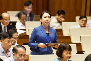 第十六届国会第一次非常规会议：建议将个人所得税与企业所得税减征30%