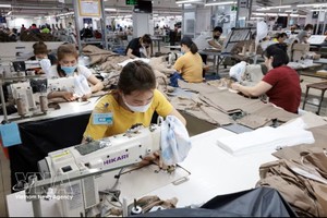 2026年前7个月，纺织服装出口总额达270亿美元。图：越通社