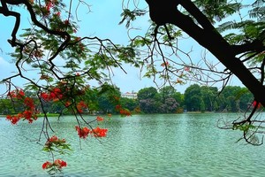 河内还剑湖秋日景色。图：玉燕。
