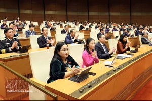 国会表决通过关于减免个人和企业所得税的国会决议。图：越通社