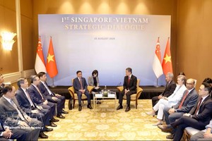 越南共产党中央书记处常务书记陈锦秀访新正式欢迎仪式隆重举行。图：越通社