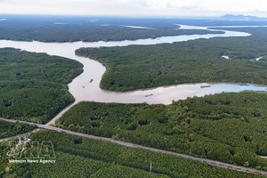 滨城-芹耶地铁线路将沿着红树林（rừng Sác）路延伸，为芹耶地区的绿色转型奠定基础。图：越通社