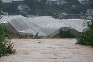 Nước suối dâng cao tràn vào nhà kính gây thiệt hại lớn. Ảnh: ĐOÀN KIÊN