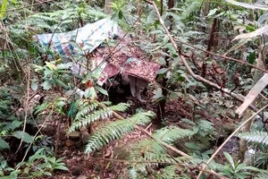 Phát hiện thi thể nam thanh niên chết giữa rừng