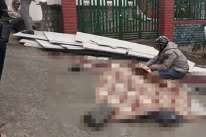 Hai người bị đè tử vong khi bốc dỡ vật liệu xây dựng