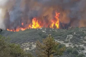 Phong tỏa đèo Prenn vào thành phố Đà Lạt do cháy thực bì