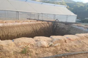 Hai cháu bé đuối nước thương tâm dưới hồ tưới ở Đà Lạt