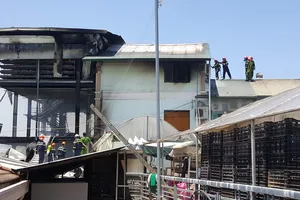 Hoả hoạn thiêu rụi trại giống cây ở Đà Lạt