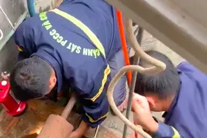 Cứu kịp thời người phụ nữ rơi xuống giếng sâu 25m