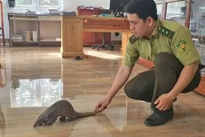 Dân mua thú hoang dã giao cho kiểm lâm thả về rừng