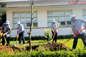 Đà Lạt trồng hàng nghìn cây thông, mai anh đào dịp “Tết trồng cây”