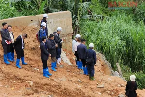 Chuyên gia Nhật Bản khảo sát điểm sạt lở ở Đà Lạt