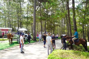 Du khách đến Đà Lạt, Khánh Hòa dịp lễ tăng hơn 30% so với cùng kỳ năm 2023