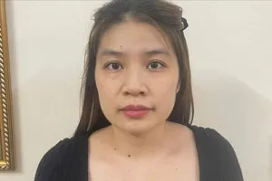 Bắt đối tượng tạo tài khoản giả chơi hụi online, lừa đảo 1,7 tỷ đồng