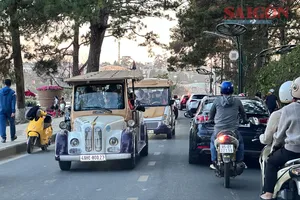Đà Lạt: Chưa cho phép xe điện 4 bánh phục vụ du lịch hoạt động trở lại