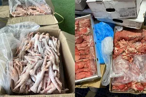 Đà Lạt: Thu giữ hơn 2,5 tấn thực phẩm đông lạnh không rõ nguồn gốc