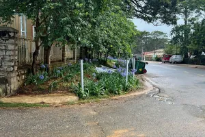 Đà Lạt: Tháo dỡ hàng rào sắt do doanh nghiệp tự ý xây dựng