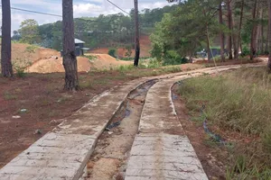 Đà Lạt: Xử lý đoạn đường bê tông trái phép băng qua rừng phòng hộ