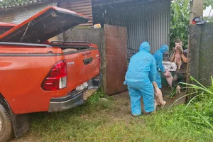 Lâm Đồng: Tiêu hủy đàn heo 240 con bị nhiễm bệnh