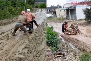 Lâm Đồng: Đường tỉnh như... ruộng