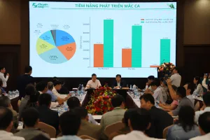 Dư địa sản xuất mắc ca còn nhiều