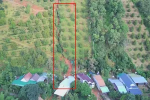 Lâm Đồng: Xuất hiện vết nứt lớn chạy dọc ngọn đồi