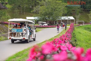 Du lịch kết nối “biển – hoa – đại ngàn”