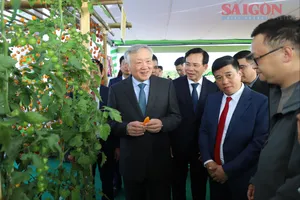 Phó Thủ tướng Thường trực Nguyễn Hòa Bình: Lâm Đồng cần đẩy nhanh các dự án có sức lan tỏa