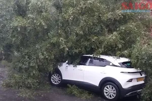 Lâm Đồng: Đèo Mimosa lại sạt lở, nhiều ô tô may mắn thoát nạn