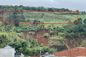 Lâm Đồng: Đồi sụt lún, sơ tán khẩn cấp nhiều hộ dân 